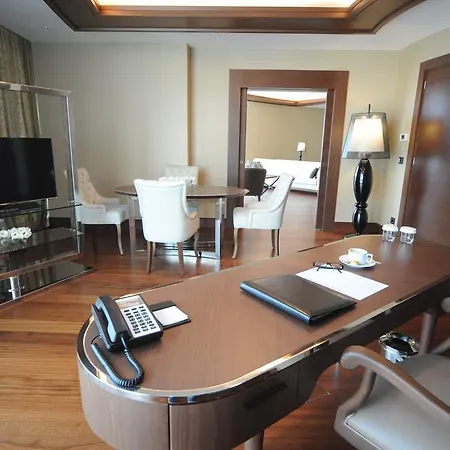 Pullman & Convention Center 5*