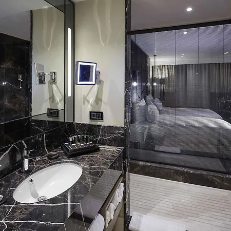 فندق Pullman & Convention Center