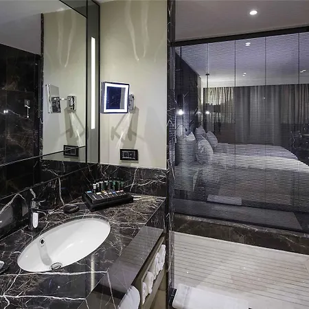 Pullman & Convention Center Istambul