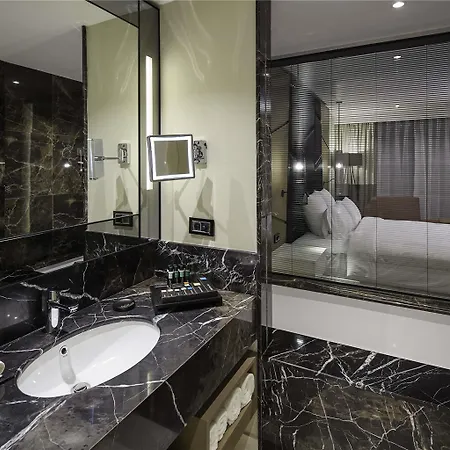 Pullman & Convention Center 5*