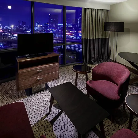Pullman & Convention Center 酒店 伊斯坦布尔