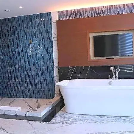 Hotel Pullman & Convention Center 5*