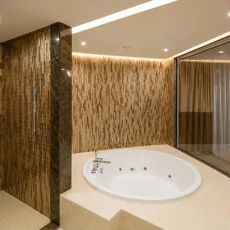 Pullman & Convention Center Isztambul