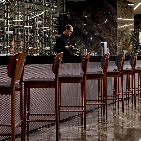 فندق Pullman & Convention Center 5*
