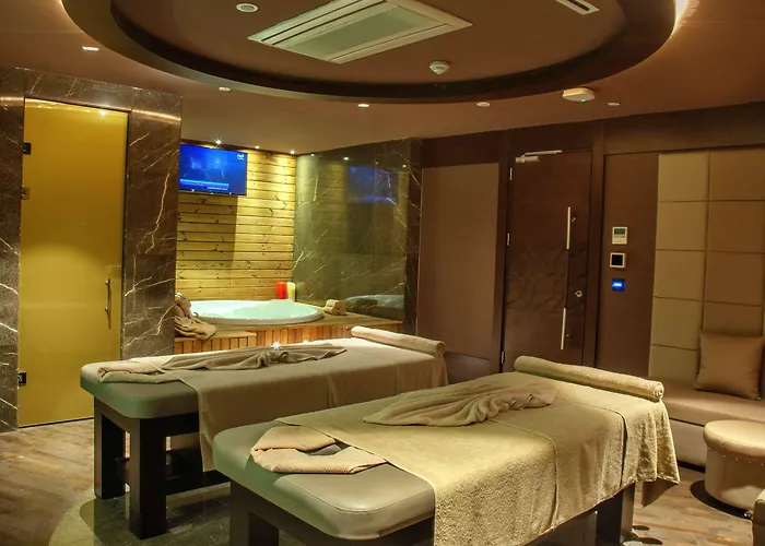 Pullman & Convention Center Hotel Istambul