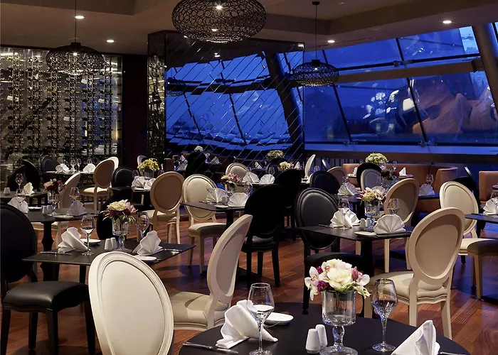 Pullman & Convention Center 酒店 伊斯坦布尔