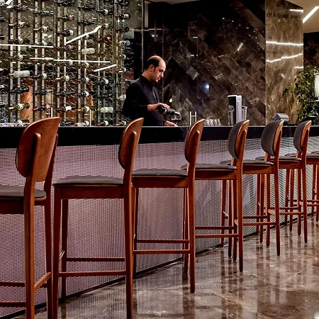 Pullman & Convention Center Hotel Istanbulská provincie
